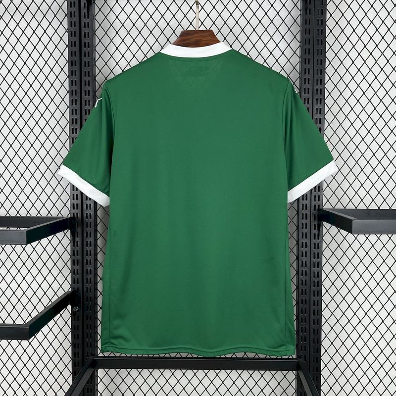 Palmeiras Thuis Shirt 25/26