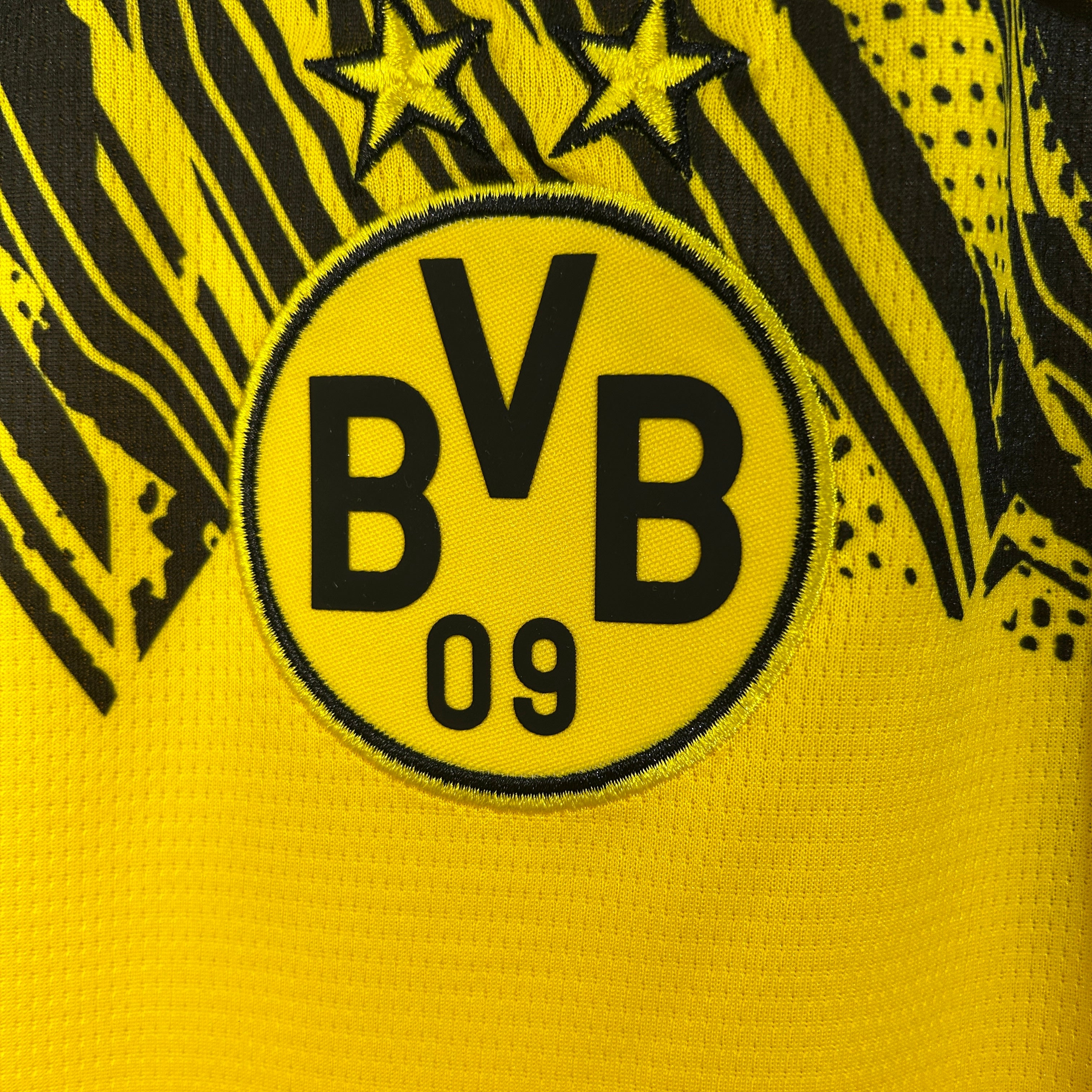 Dortmund Thuis Shirt 25/26