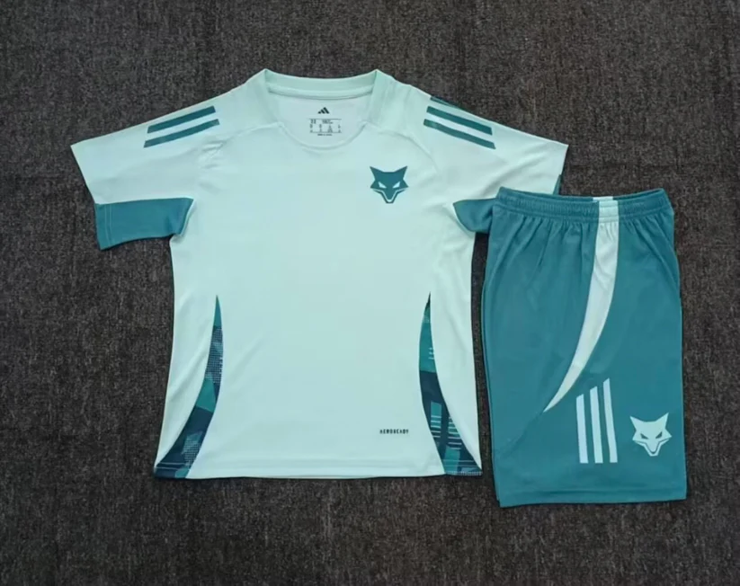 Cruzeiro Trainingsset 24/25